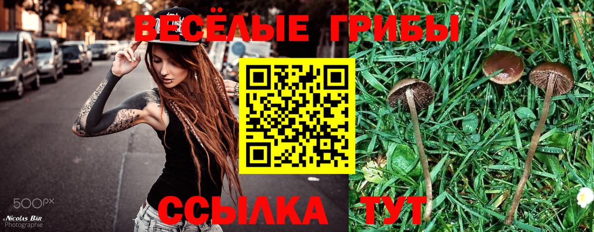 A PVP Зима