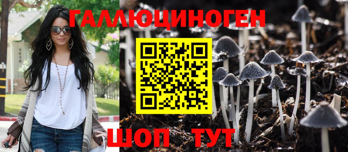 Псилоцибиновые грибы MAGIC MUSHROOMS Зима